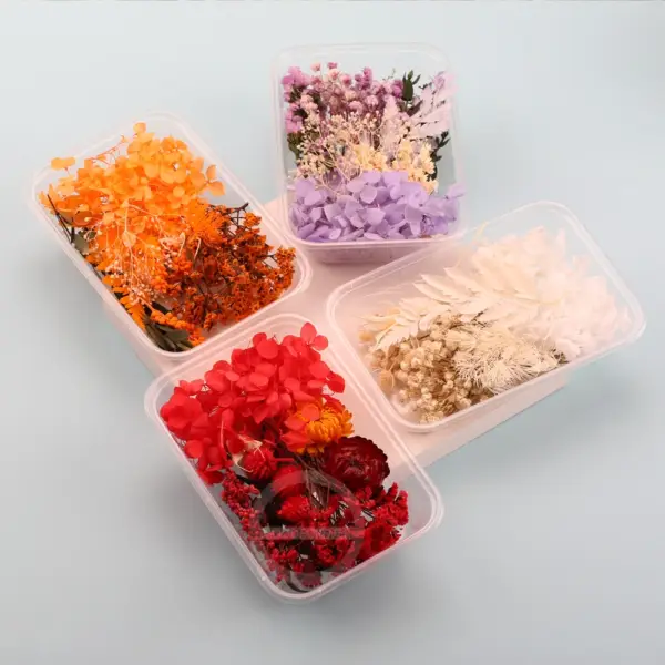 Natural Real Dried Flowers: Ideal for Resin Art, DIY Home Decor, Candle Making, and Crafts - Image 3