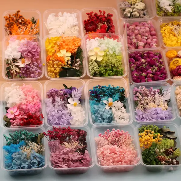 Natural Real Dried Flowers: Ideal for Resin Art, DIY Home Decor, Candle Making, and Crafts - Image 5