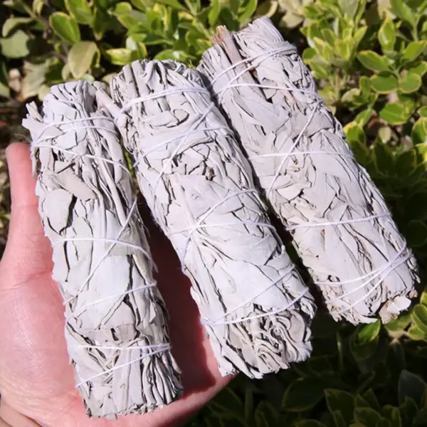 10cm White Sage Bundle California Smudge Stick Wand for Spiritual Incense Sticks Burning Aromatherapy Energy Cleansing Bundles - Image 3